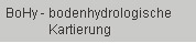 BoHy - Bodenhydrologische Kartierung