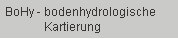 BoHy - Bodenhydrologische Kartierung